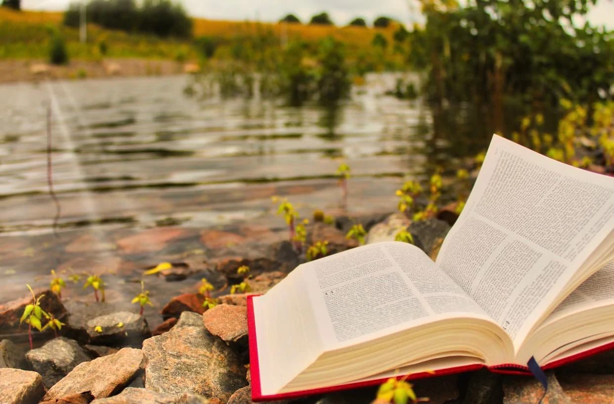 Clarifier – Explorer – Choisir